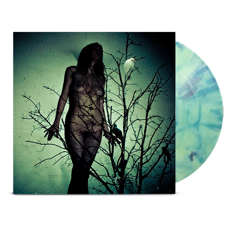 pfl-the-atlas-moth-ache-for-the-distance-martian-vinyl 4